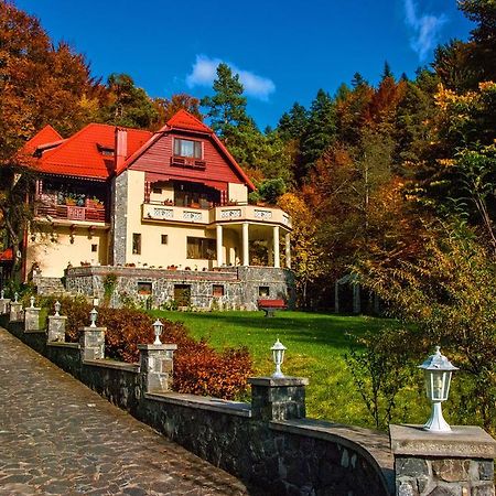 Pensiunea Boema Sinaia Buitenkant foto