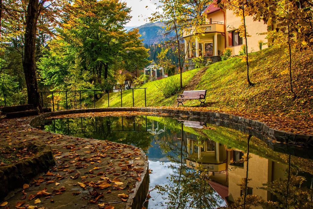 Pensiunea Boema Sinaia Buitenkant foto