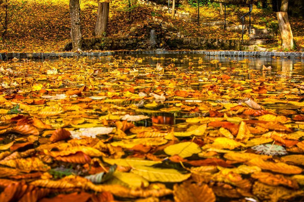 Pensiunea Boema Sinaia Buitenkant foto