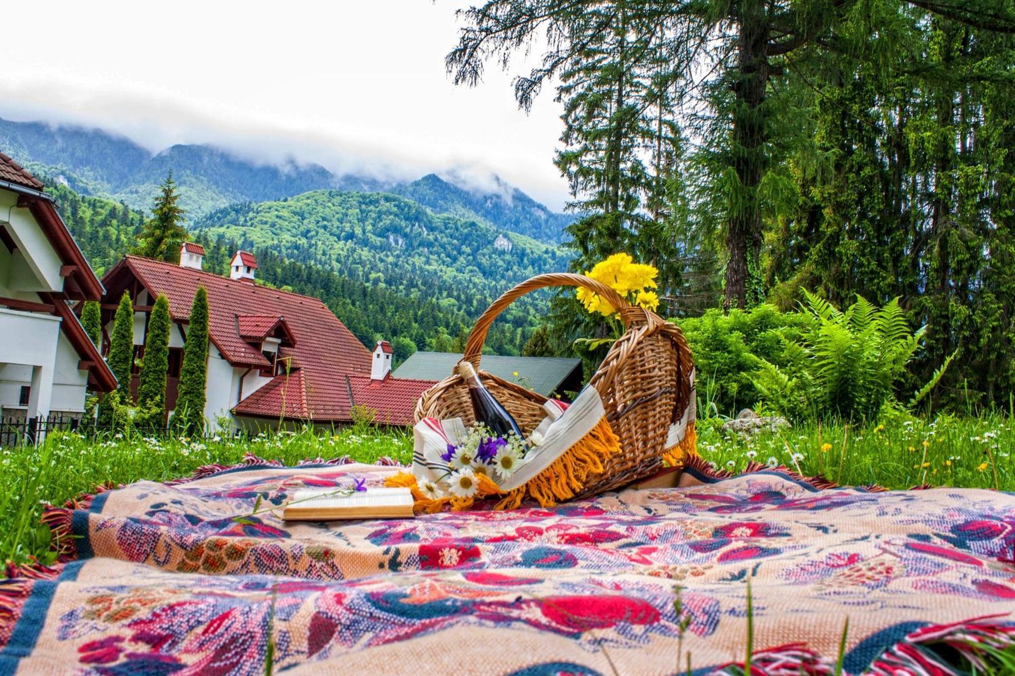 Pensiunea Boema Sinaia Buitenkant foto