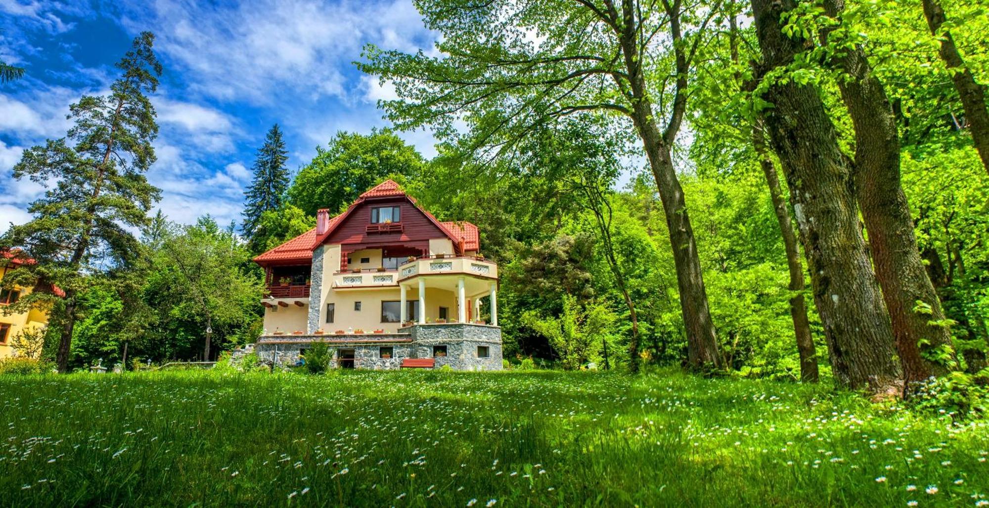 Pensiunea Boema Sinaia Buitenkant foto