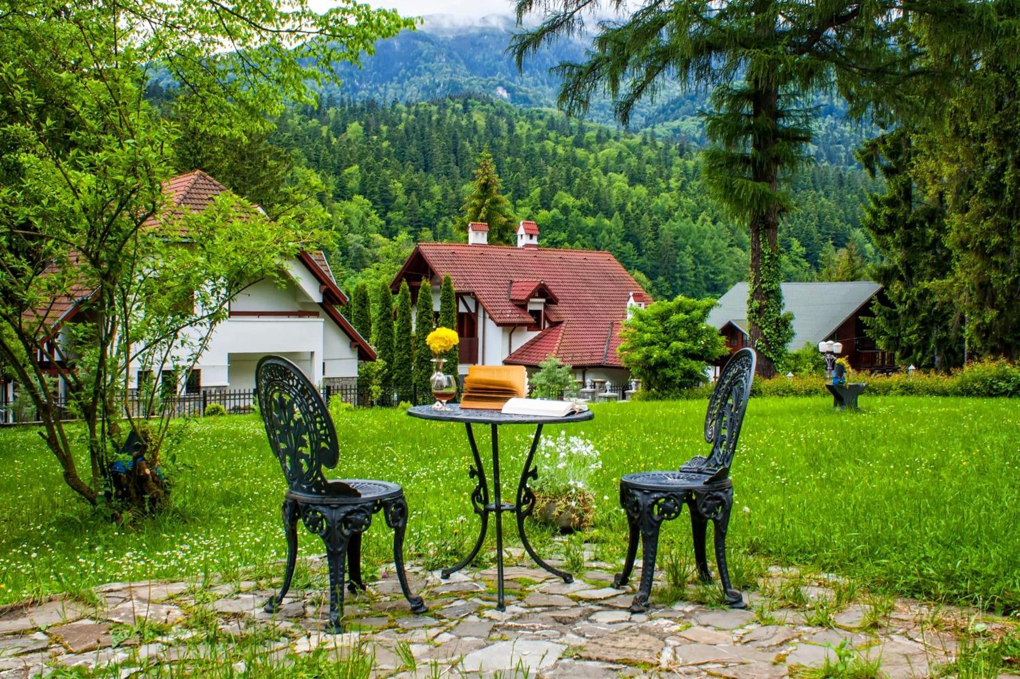 Pensiunea Boema Sinaia Buitenkant foto