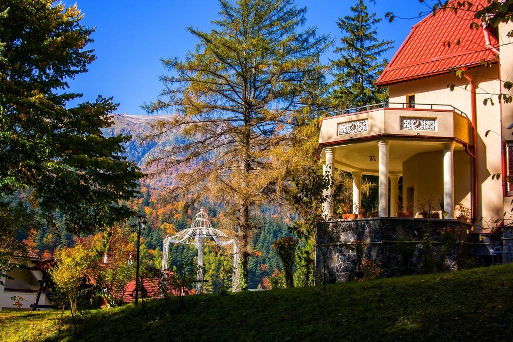 Pensiunea Boema Sinaia Buitenkant foto