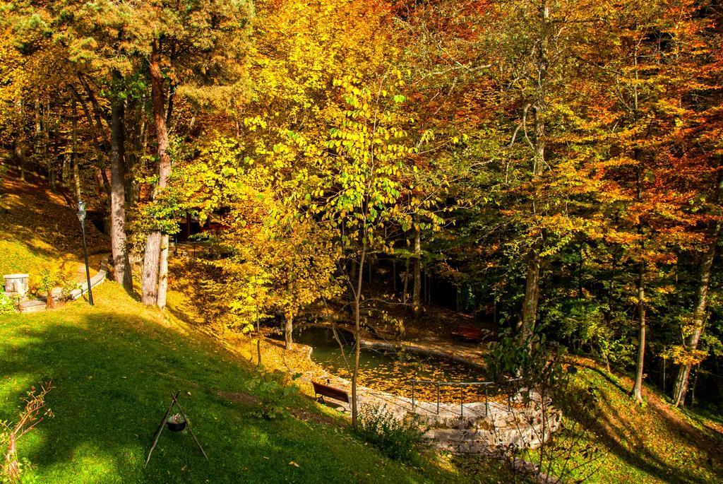Pensiunea Boema Sinaia Buitenkant foto