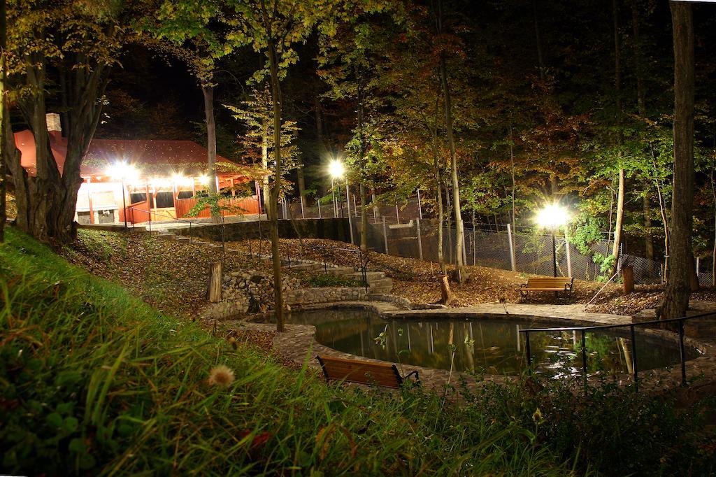 Pensiunea Boema Sinaia Buitenkant foto